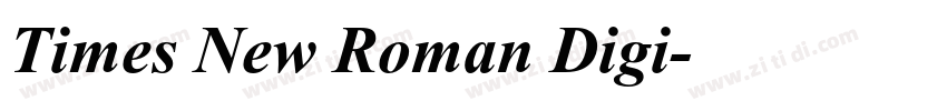 Times New Roman Digi字体转换